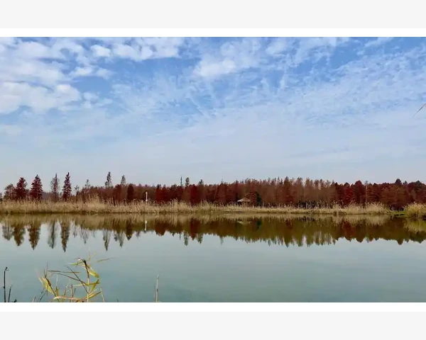 化痰的温性食物，助你告别痰湿困扰