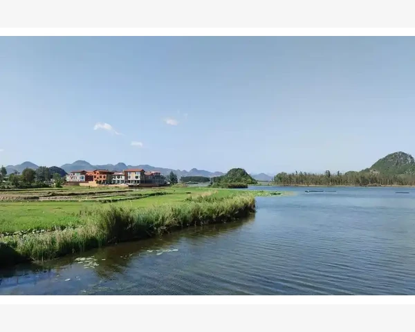 舌苔厚黄湿热问题如何调理
